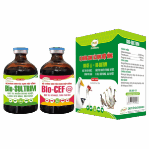 BỘ ĐÔI KHÁNG SINH BIO CEF@ BIO-SULTRIM 100ML