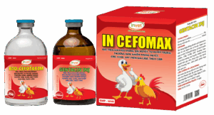 IN CEFOMAX CẶP BỘT PHA TIÊM