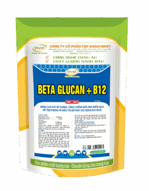 BETAGLUCAN + B12