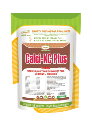 CALCI-KC PLUS