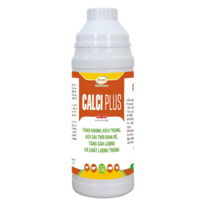 CALCI PLUS