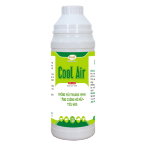 COOL AIR