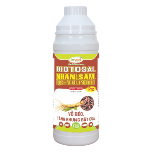 NHÂN SÂM DỊCH TRÙN QUẾ PRO