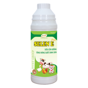 ELEN E SIÊU LÊN GIỐNG TĂNG NĂNG SUẤT SINH SẢN PRO