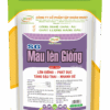 SG MAU LÊN GIỐNG