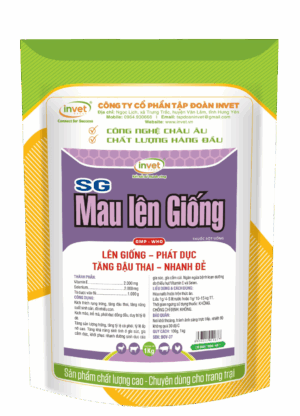 SG MAU LÊN GIỐNG