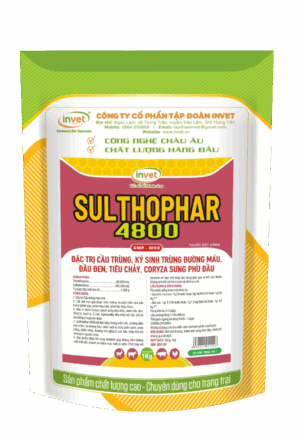 SULTHOPHAR 4800