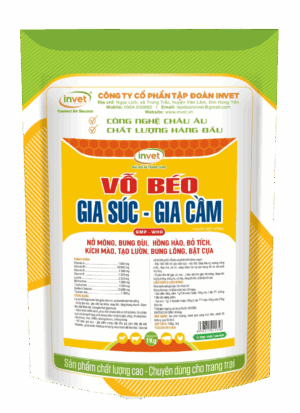 VỖ BÉO GIA SÚC GIA CẦM