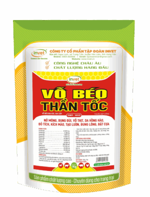 VỖ BÉO THẦN TỐC