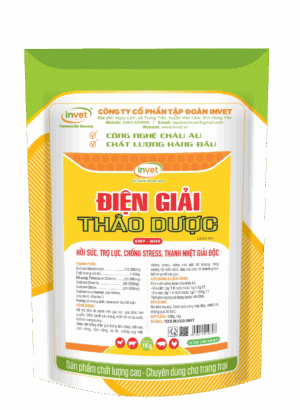 ĐIỆN GIẢI THẢO DƯỢC