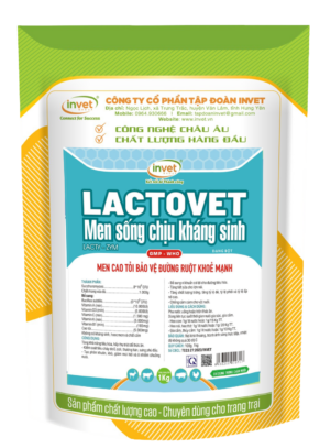 LACTOVET MEN SỐNG CHỊU KHÁNG SINH