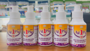 KHÁNG THỂ ĐA DÒNG PHÒNG TRỊ BỆNH TIÊU CHẢY PHỨC HỢP TRÊN HEO Ig.1Pig plus +