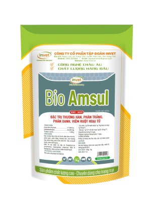 BIO AMSUI ĐẶC TRỊ THƯƠNG HÀN, PHÂN TRẮNG, PHÂN XANH, VIÊM RUỘT HOẠI TỬ