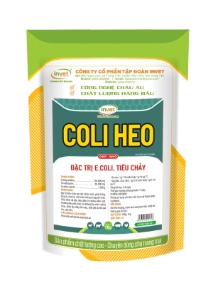 COLI HEO ĐẶC TRỊ E.COLI TIÊU CHẢY