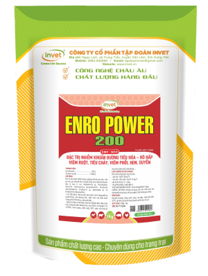 ENRO POWER 200