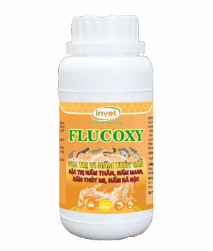 FLUCOXY ĐẶC TRỊ NẤM