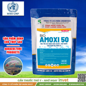 SMARTVET | AMOXI 50